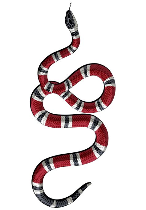 gucci snakes transparent|Gucci snake wallpaper 4k.